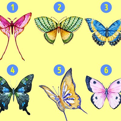 cánh bướm tiết lộ tính cách feature