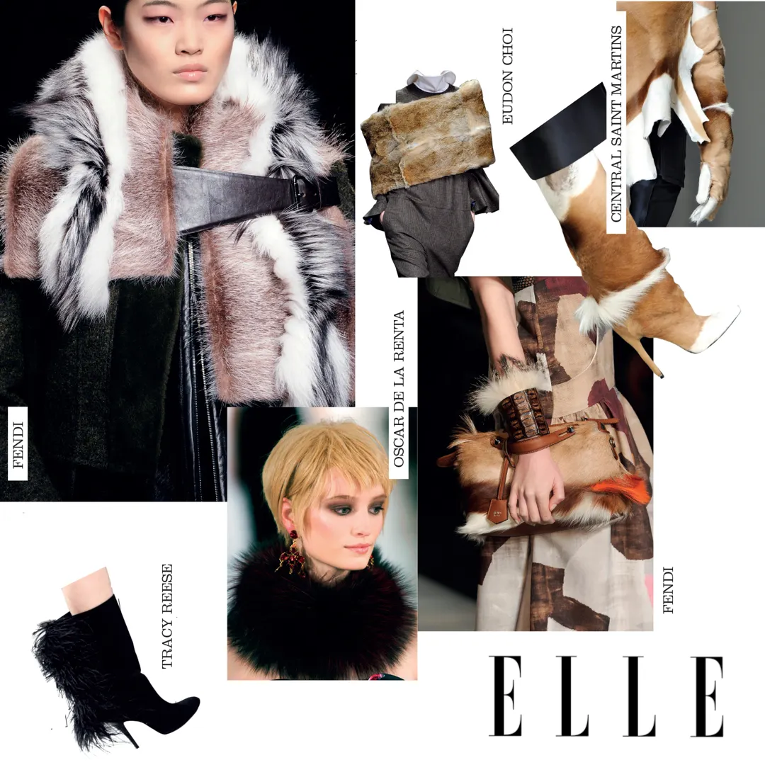 ellevn accessories trend