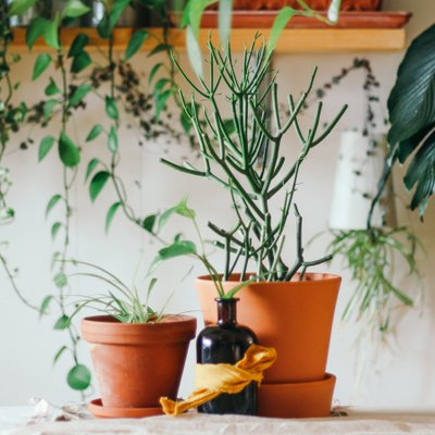 sống xanh giúp tiết kiệm chi phí