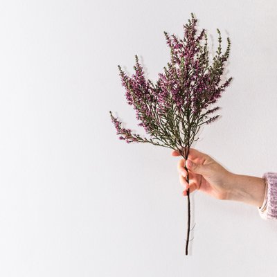 bí quyết sống hạnh phúc dưới góc nhìn khoa học
