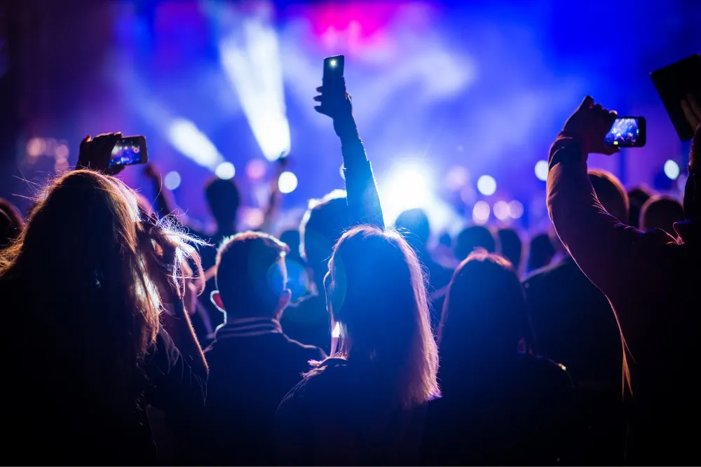 Đám đông tham gia concert