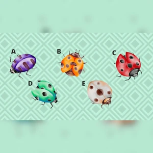 trắc nghiệm con bọ rùa