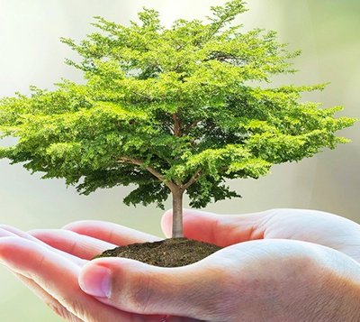 10 "việc nhỏ mình làm" để bảo vệ môi trường