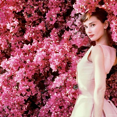 diễn viên Audrey Hepburn 15