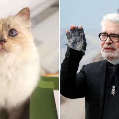 Nàng mèo Choupette "ra mắt" BST tưởng nhớ NTK Karl Lagerfeld