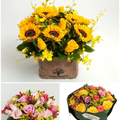 ellevn dalat hasfarm