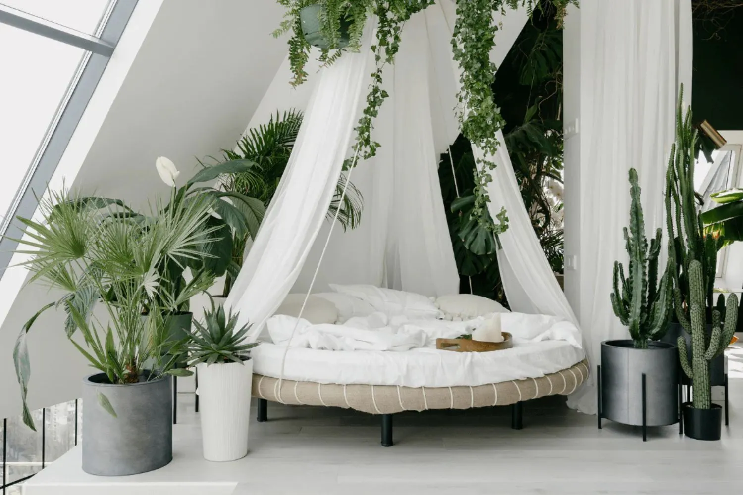 Trắc nghiệm phòng ngủ gần gũi với thiên nhiên.