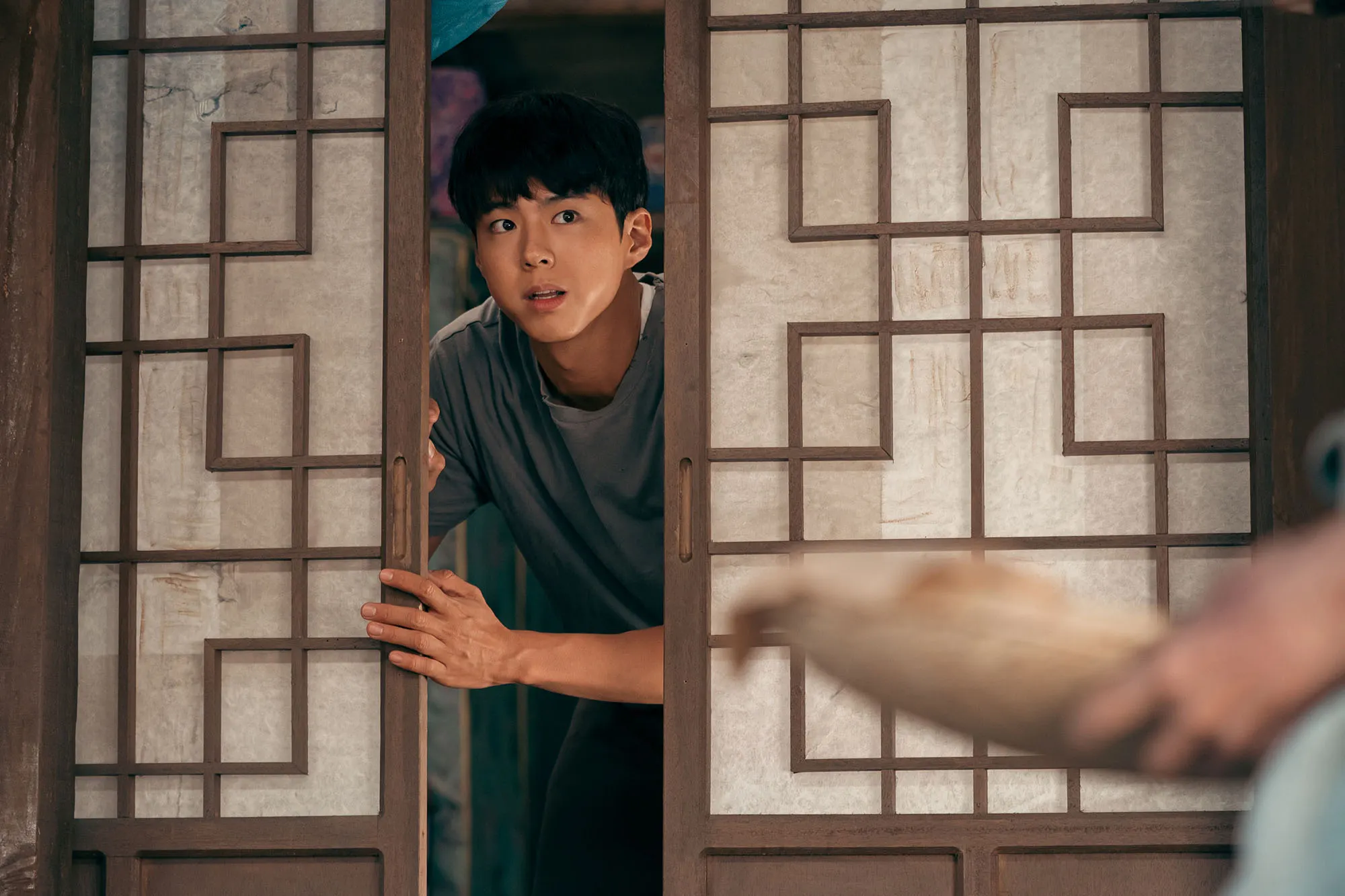 park bo gum trong vai gwan sik trong when life gives you tangerines