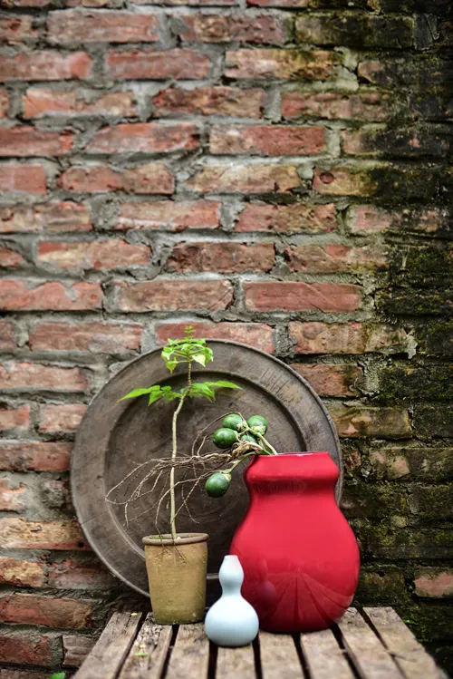 Hanoia - sắc sơn mài - elle việt nam 6