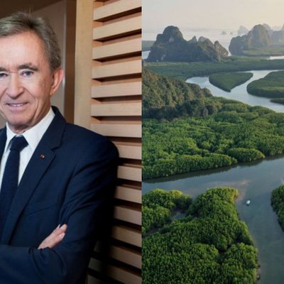 điểm tin LVMH quyên góp 10 triệu euros cho Amazon