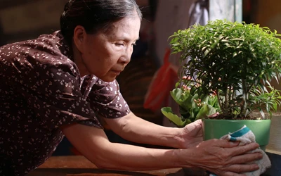 Tình mẫu tử liêng thiêng trong “Có căn nhà nằm nghe nắng mưa”