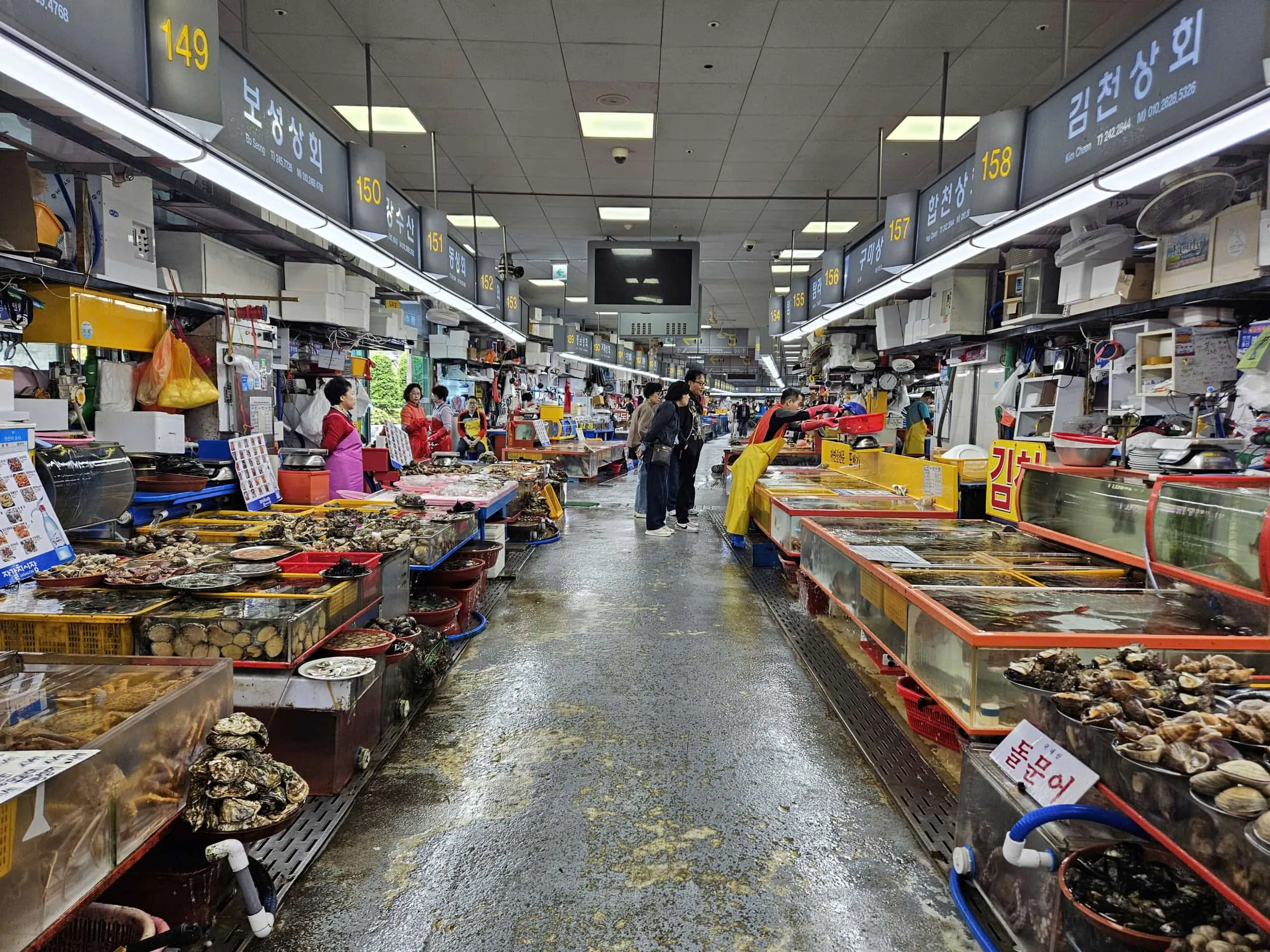 Khu chợ hải sản Jagalchi ở Busan.