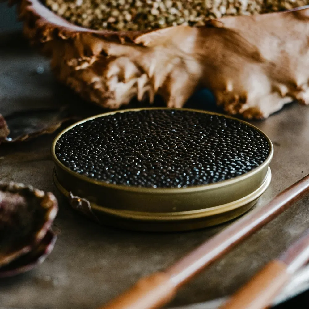 Hộp caviar
