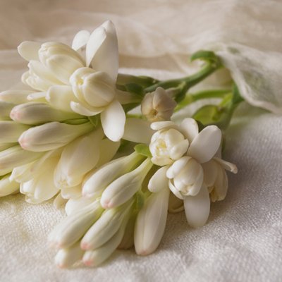 mùi hương dành cho mẹ