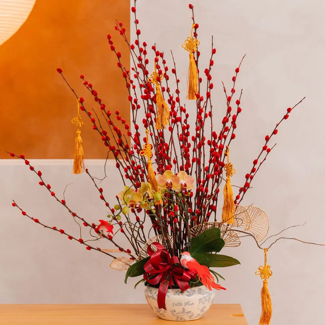 nụ tầm xuân trưng tết 2026