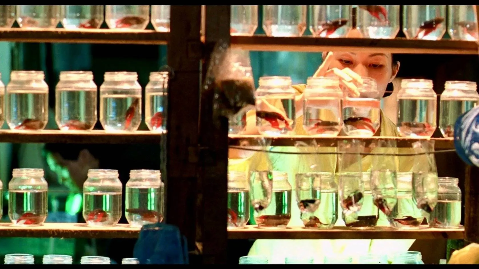 mùa hè chiều thẳng đứng