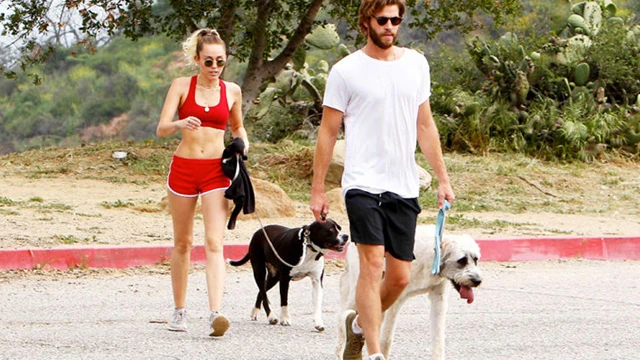 Miley Cyrus và Liam Hemsworth: chuyện hợp tan là định mệnh