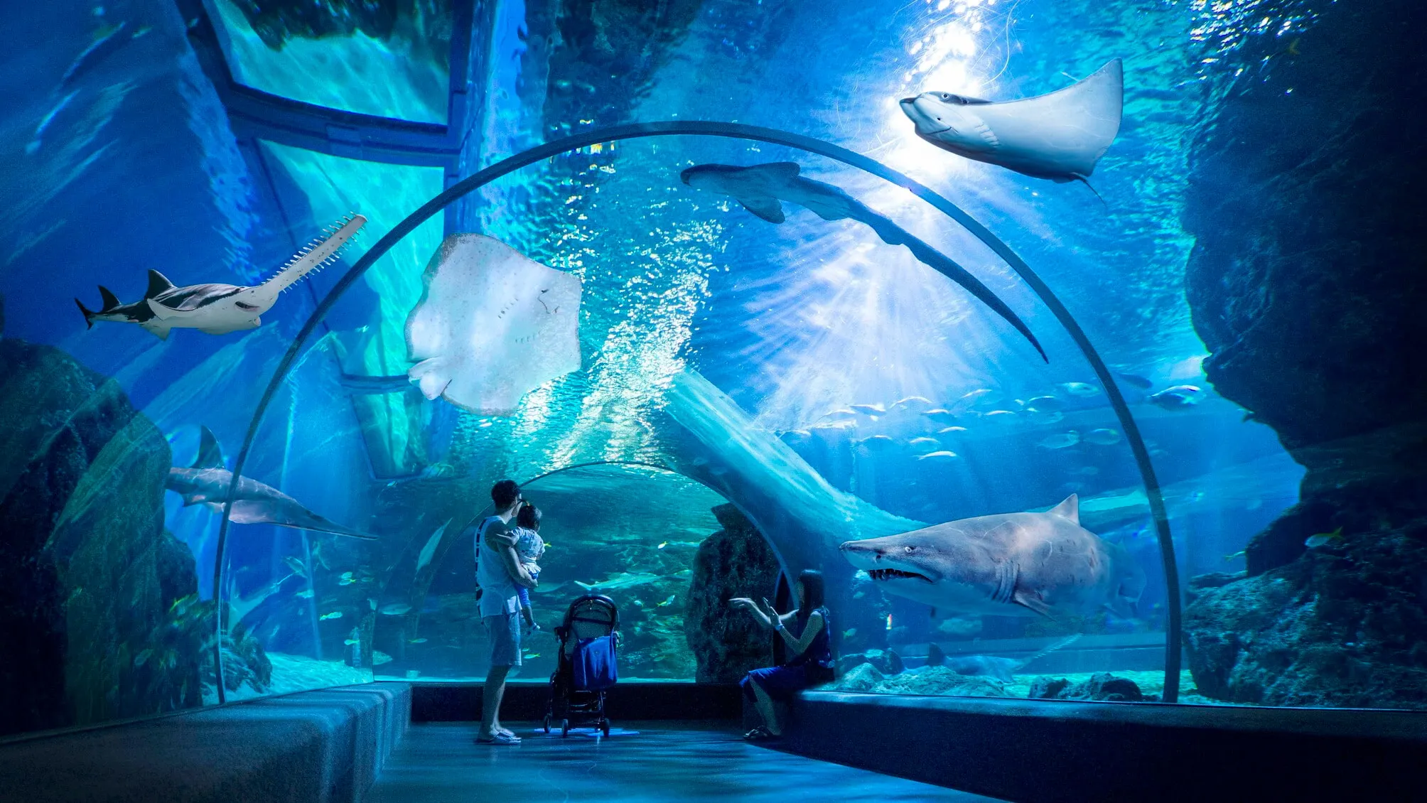 SEA LIFE BANGKOK tại Siam Paragon - Bangkok.