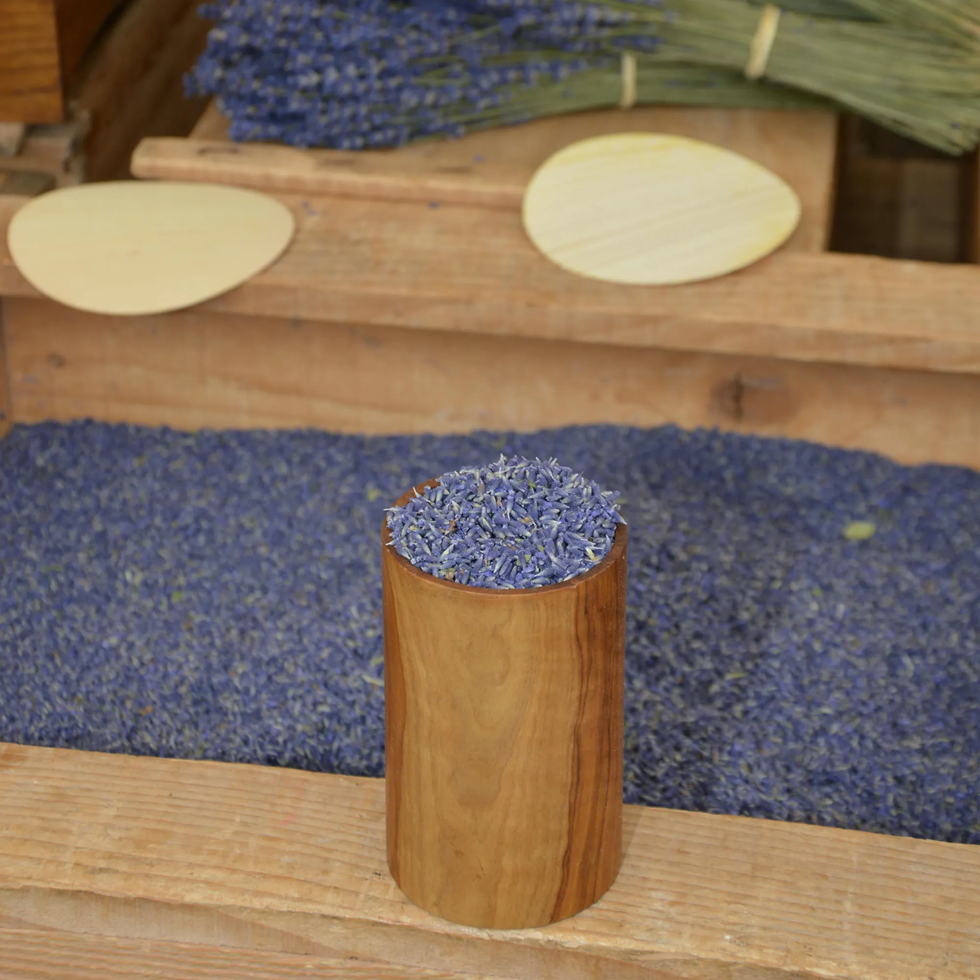 oải hương phương thuốc chữa lành đau nửa đầu