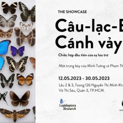 poster câu lạc bộ cánh vảy