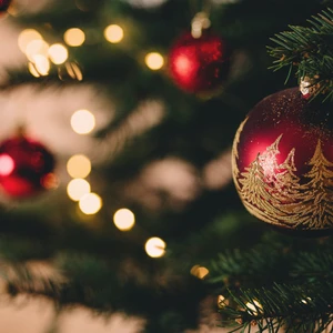 Chiêm ngưỡng 20 cây thông Giáng sinh ấn tượng trên thế giới