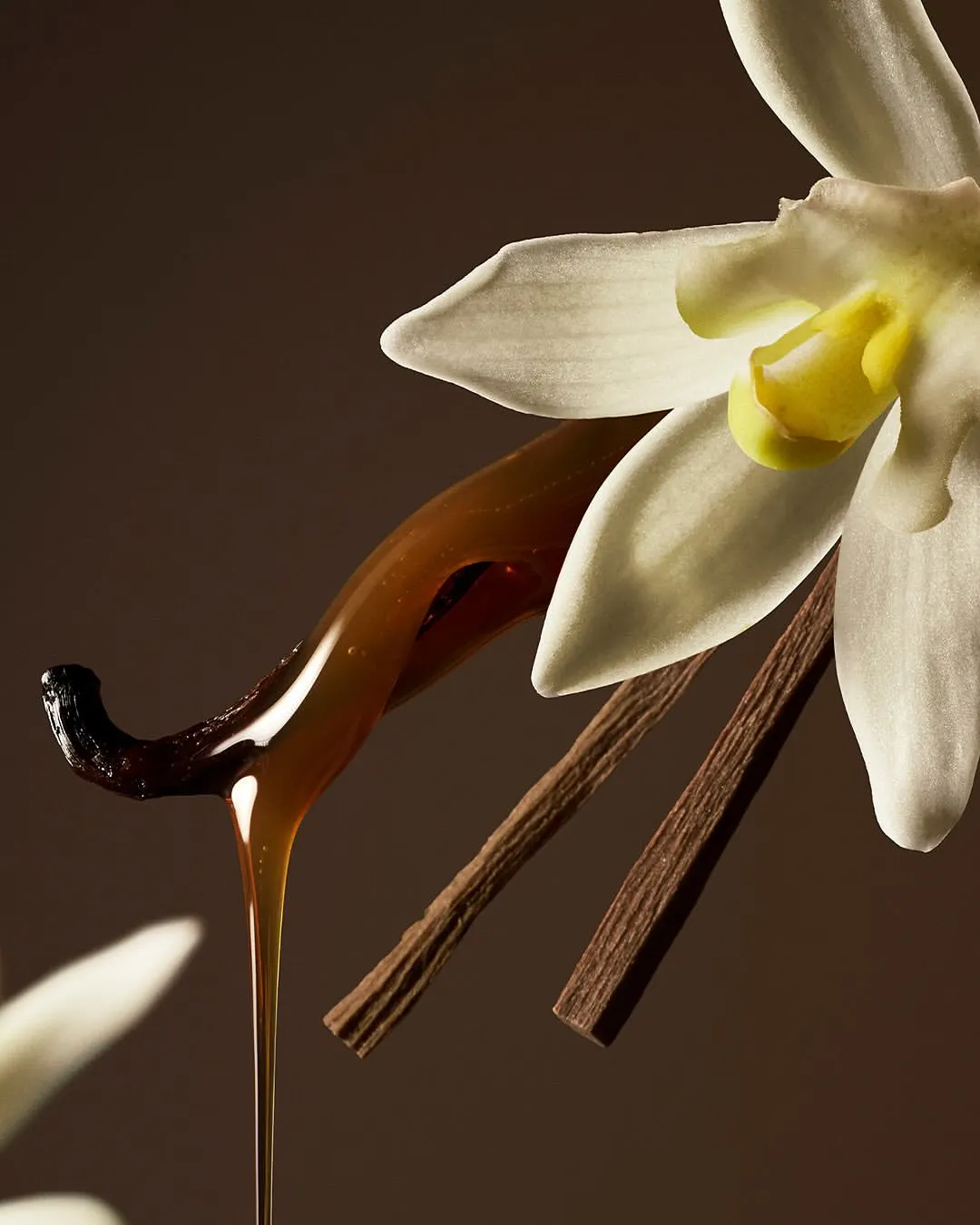 tinh chất vanilla và caramel – nốt hương đặc trưng trong nước hoa Rare Beauty - Rare Eau de Parfum