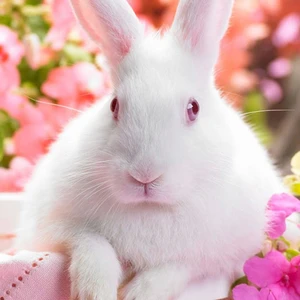 Những câu nói hay về cuộc sống đáng nhớ photo