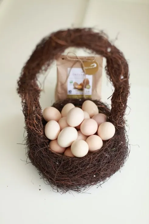 Ưu đãi từ ORFARM trong <mark class=