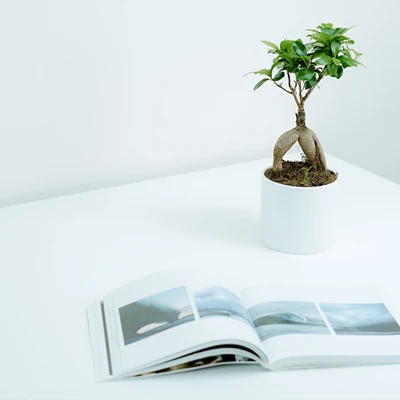coffe table book 0