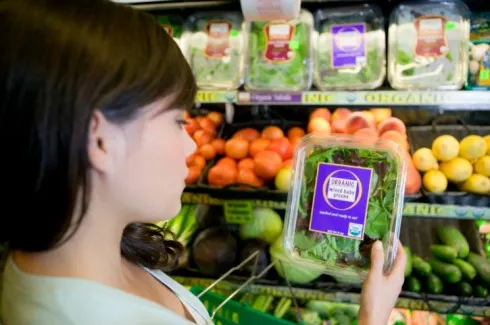 Thực phẩm hữu cơ (0rganic food) hiện đang xu hướng của nhiều cô gái Elle tiêu dùng thông minh.