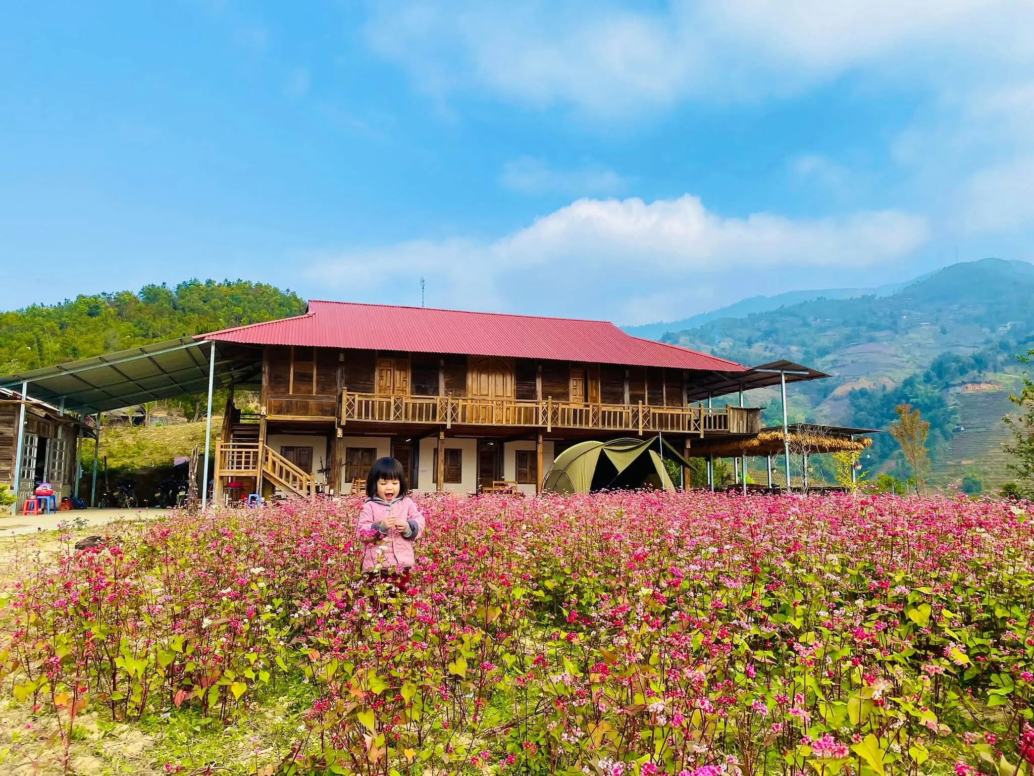 Homestay Mù Cang Chải Dream House