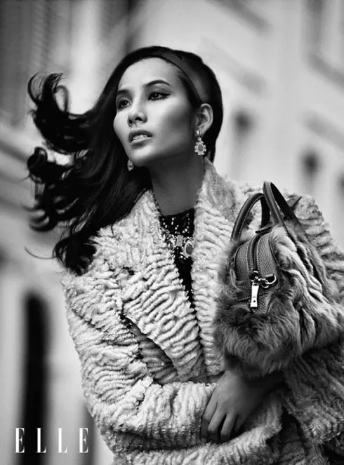 người mẫu Việt Elle9