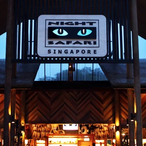 Tips bỏ túi dành cho các bạn mới du lịch Singapore lần đầu