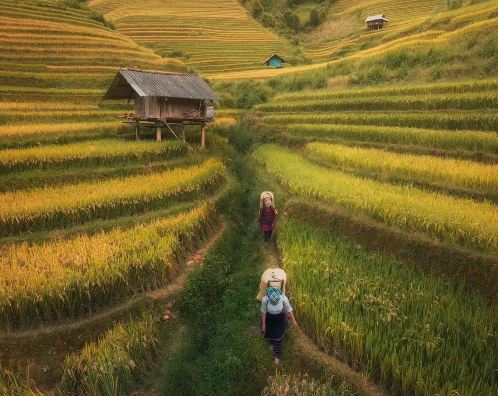 Ruộng bậc thang Mù Cang Chải 