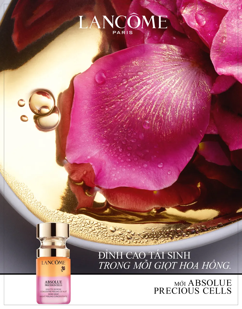 Absolue Rose Drop Night Peeling Concentrate Lancôme 2