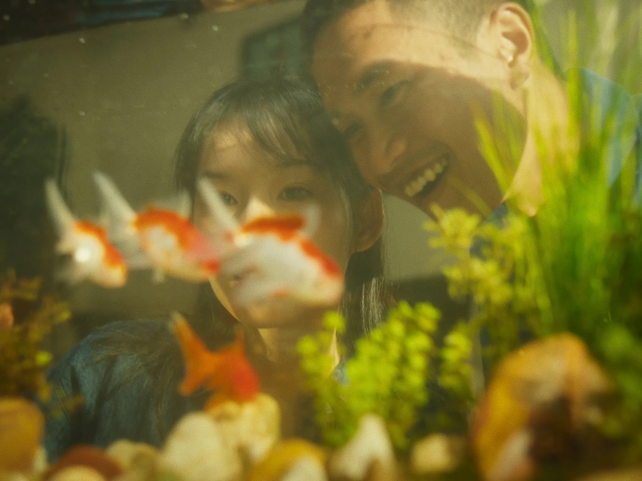 Đàn cá gỗ khung hình nên thơ của hoa và cường