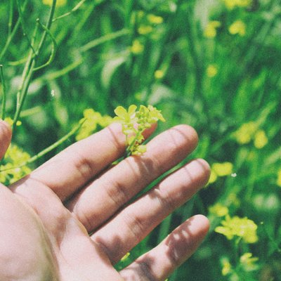 bài trắc nghiệm hình dáng móng tay