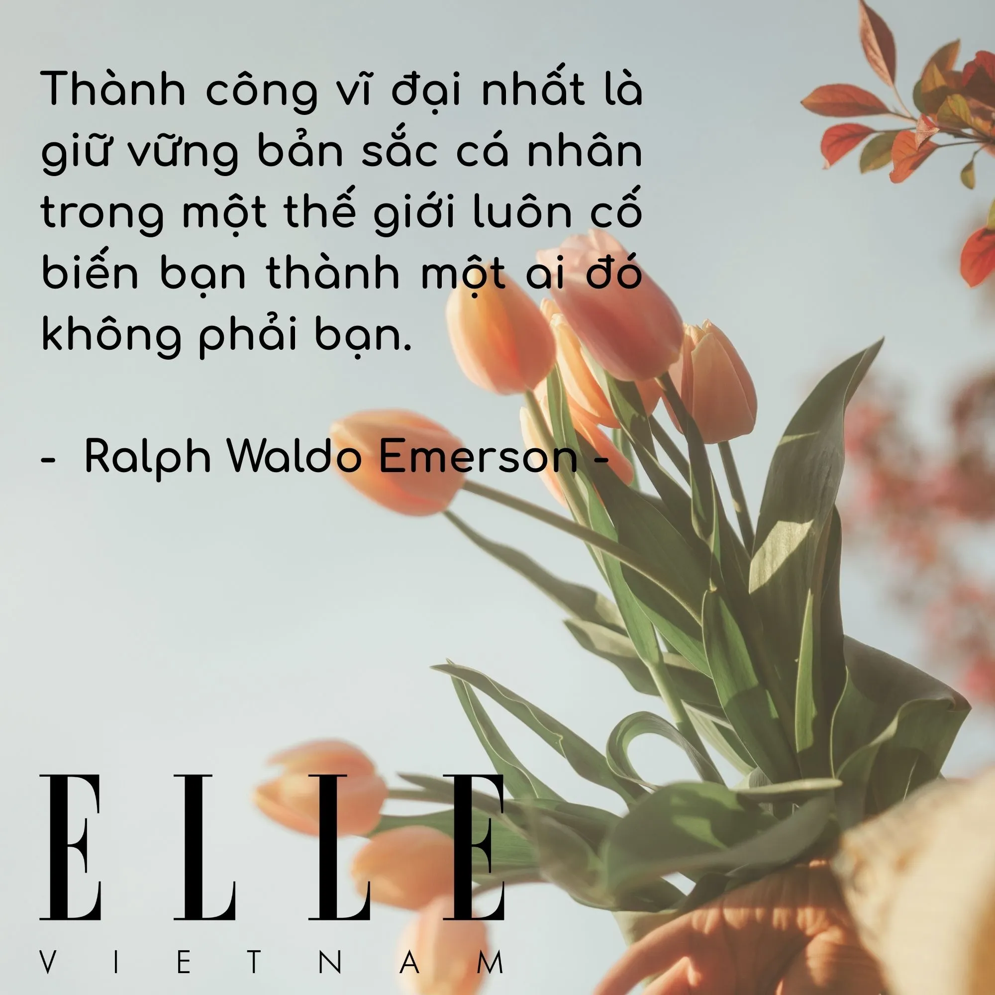 câu nói hay truyền động lực của Ralph Waldo Emerson, giảng viên, nhà thơ và triết gia người Mỹ.