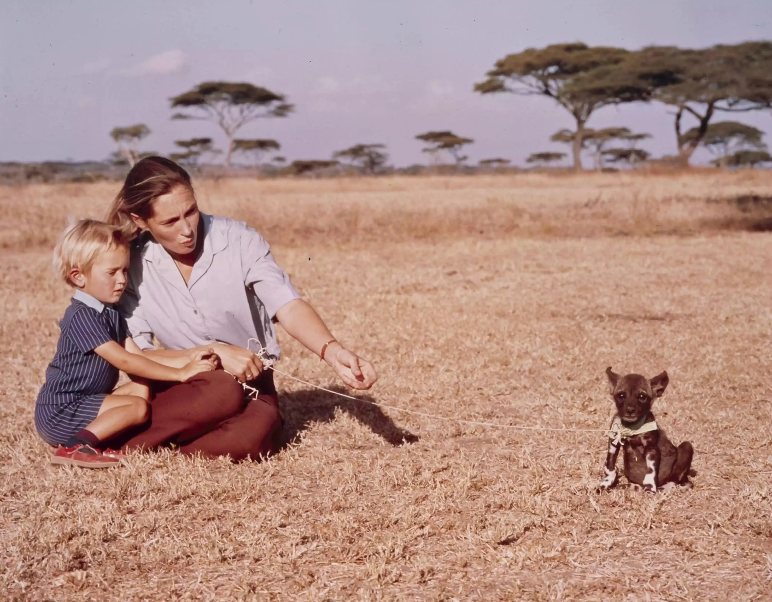 Jane Goodall cùng con trai Hugo Eric Louis van Lawick xuất hiện trong chương trình của đài ABC Jane Goodall and the World of Animal Behavior: The Lion of The Serengeti vào năm 1976. (Ảnh: People)