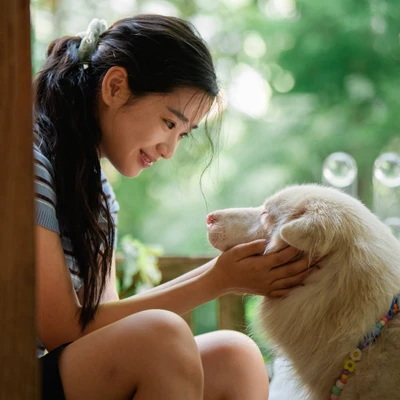 "Tạm Biệt Gohan" kể về hành trình giàu cảm xúc của một chú chó đi tìm tình yêu thương.