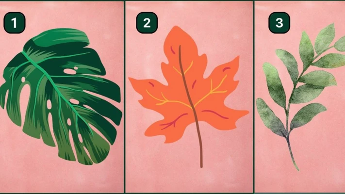 trắc nghiệm chiếc lá