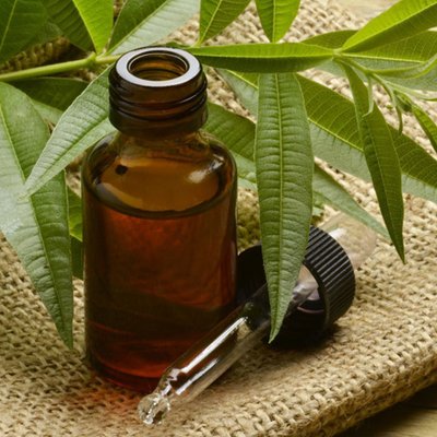 tinh dầu tràm trà tea tree oil
