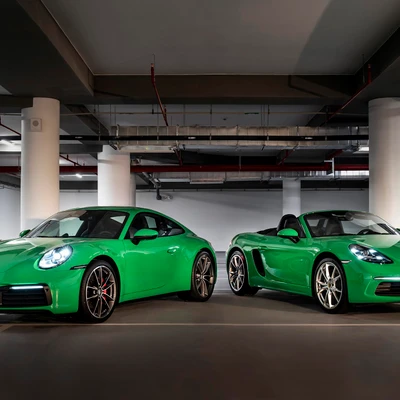 porsche python green - elle man 6