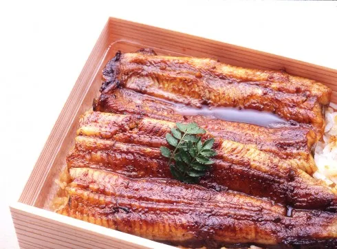 Fortuna Hanoi - lươn (3)