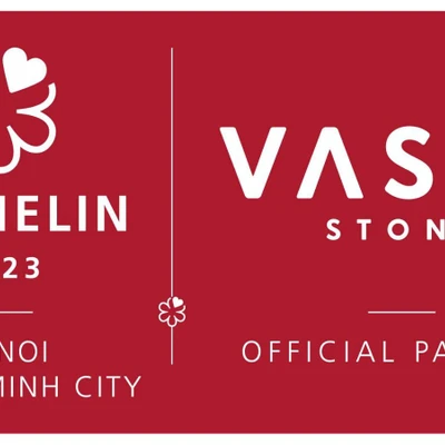 vasta stone x michelin
