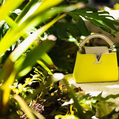 Louis Vuitton Capucines màu Neon