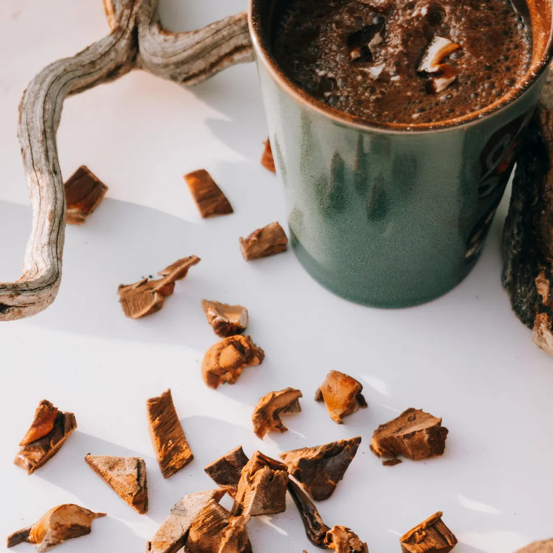 Trà linh chi và linh chi được cắt nhỏ