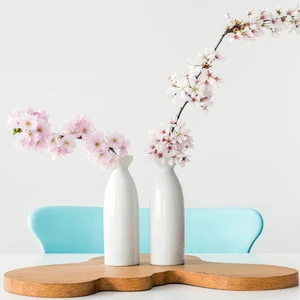 lối sống tối giản
