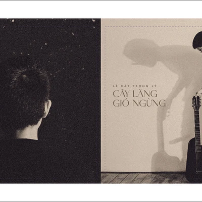 album cây lặng gió ngừng lê cát trọng lý