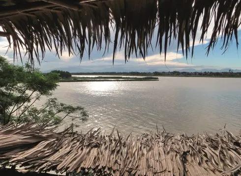 du-lich-da-nang-ghe-tham-lang-triem-tay-2